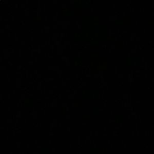 Meet your Posher, Jackson